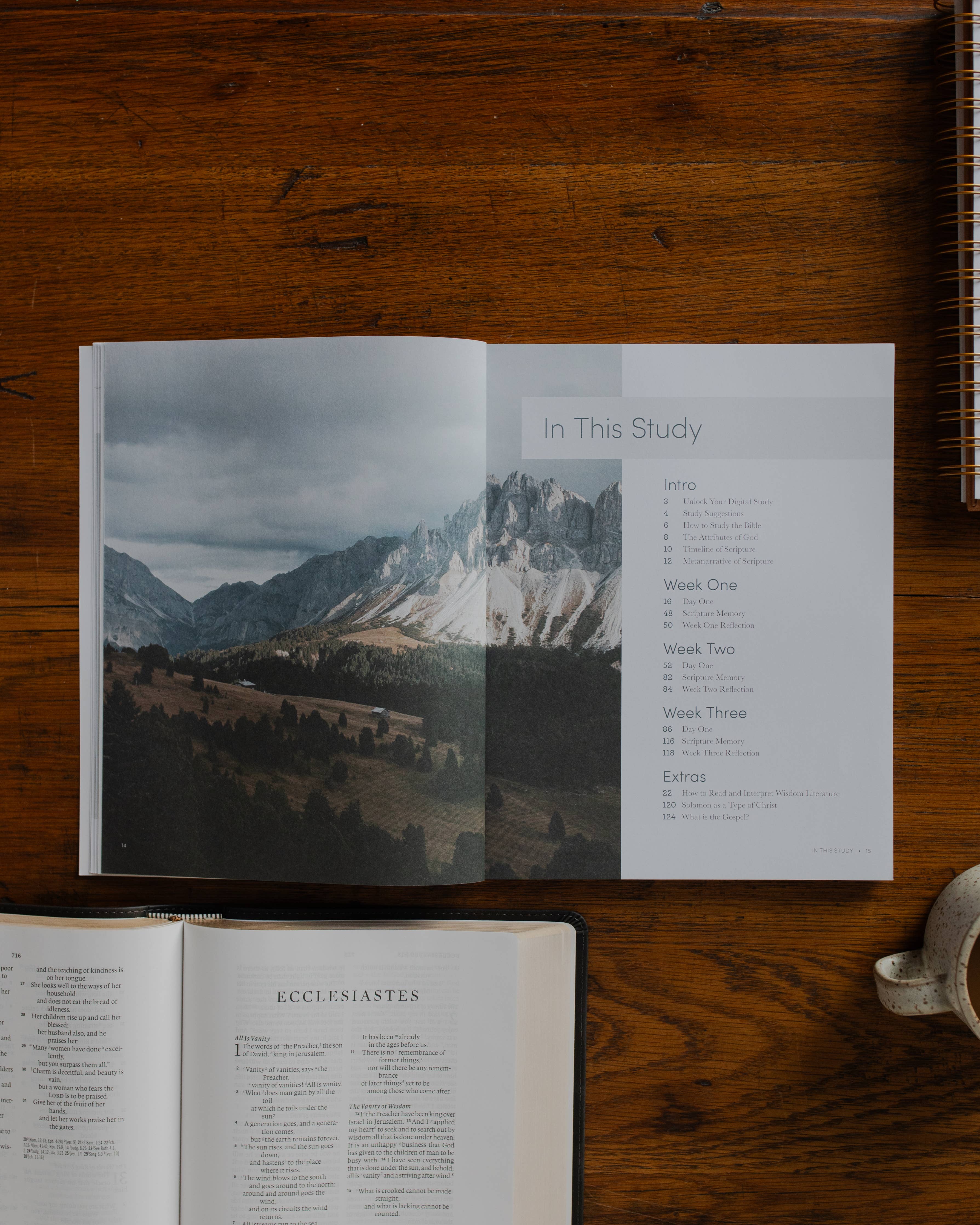 Path to Purpose Men's Bible Study