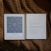A Year in the Bible | Volume 1 Bible Study