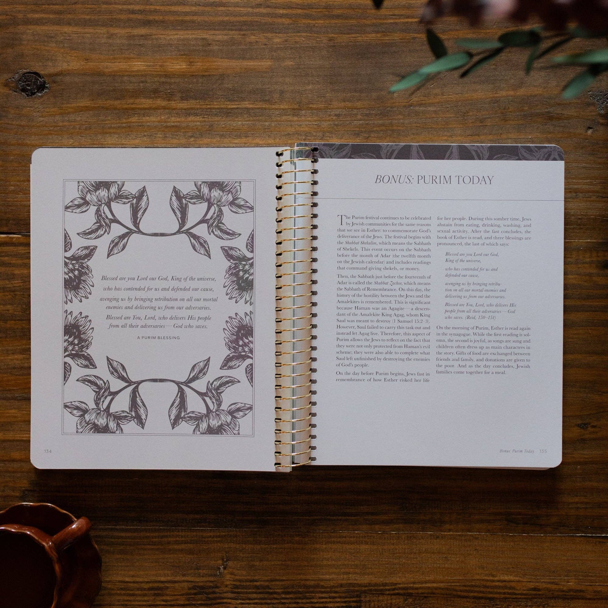 A Year in the Bible | Volume 2 Bible Study